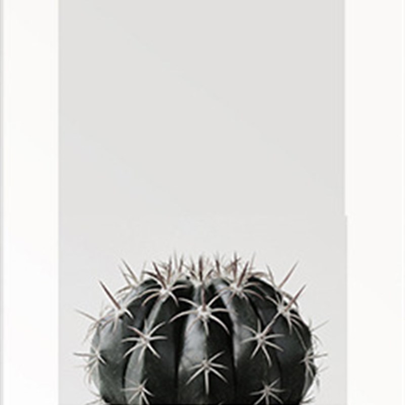 仙人掌装饰画简约植物组合北欧办公室客厅挂画卧室照片墙餐厅框画图片