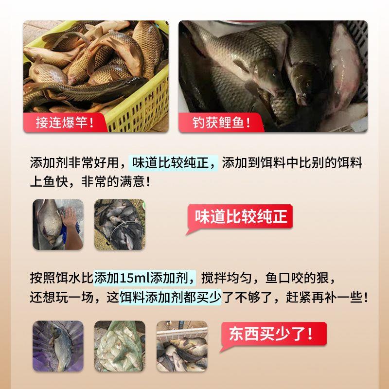 推荐(抖音添加剂)贾东普钓鱼爆款黑坑野钓食会果麝添香饵料黑糖鲤