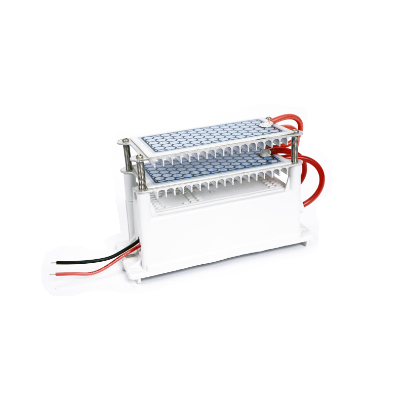 220V/110V臭氧发生器杀菌消毒除异味甲醛空气净化器家用养殖场10G