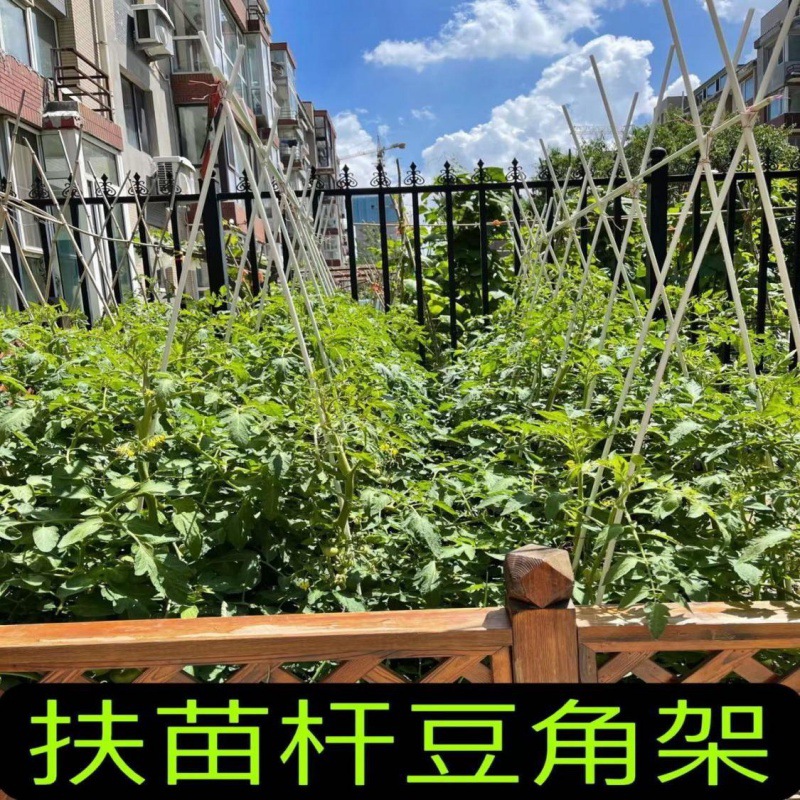 新款扶苗杆花支架支撑杆支p柱园艺植物花架黄瓜豆角丝瓜爬藤菜园