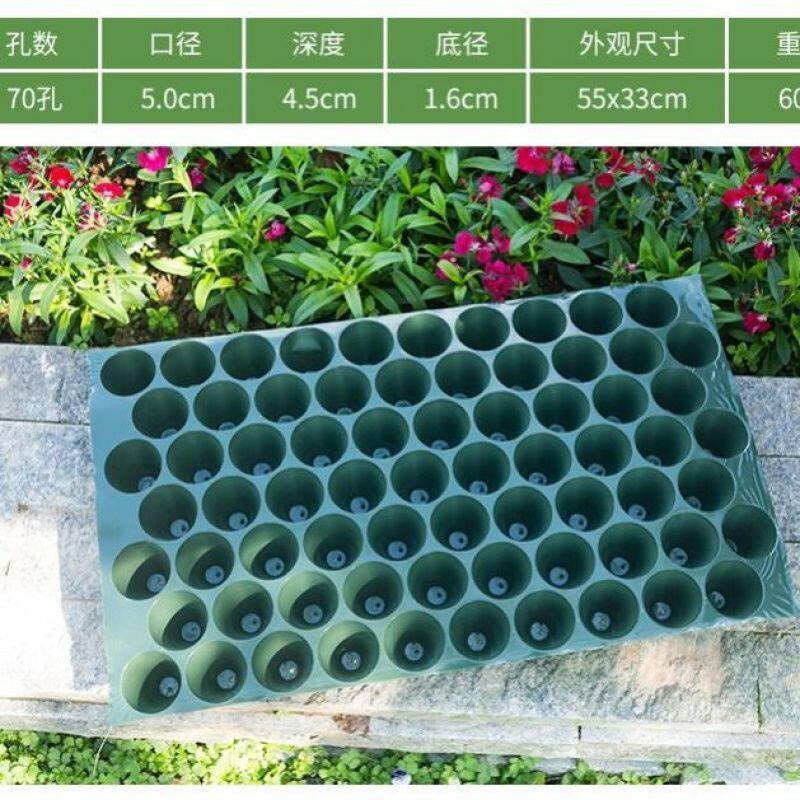 厂家玉米育苗盘瓜果育苗塑料哈密瓜圆孔穴盘100孔辣椒种植盘