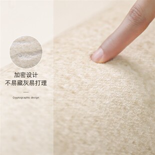 免洗可擦2024新款天津镇平地毯防水防污加厚奶油风客厅卧室床边毯