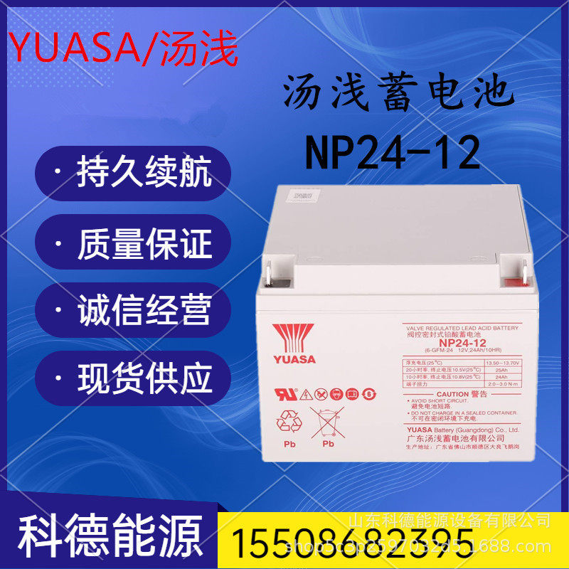 YUASA汤浅阀控式铅酸免维护蓄电池12V24AH直流屏UPS电源