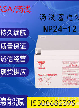 YUASA汤浅阀控式铅酸免维护蓄电池12V24AH直流屏UPS电源