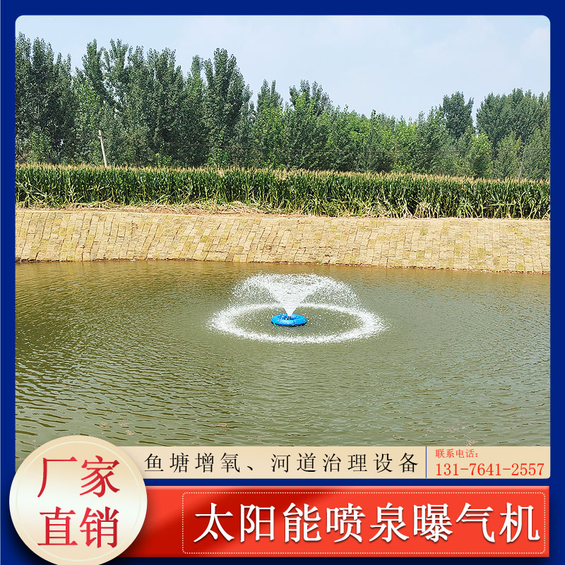太阳能喷泉曝气机鱼塘增氧机河道池塘污水K治理光伏推流喷泉增氧