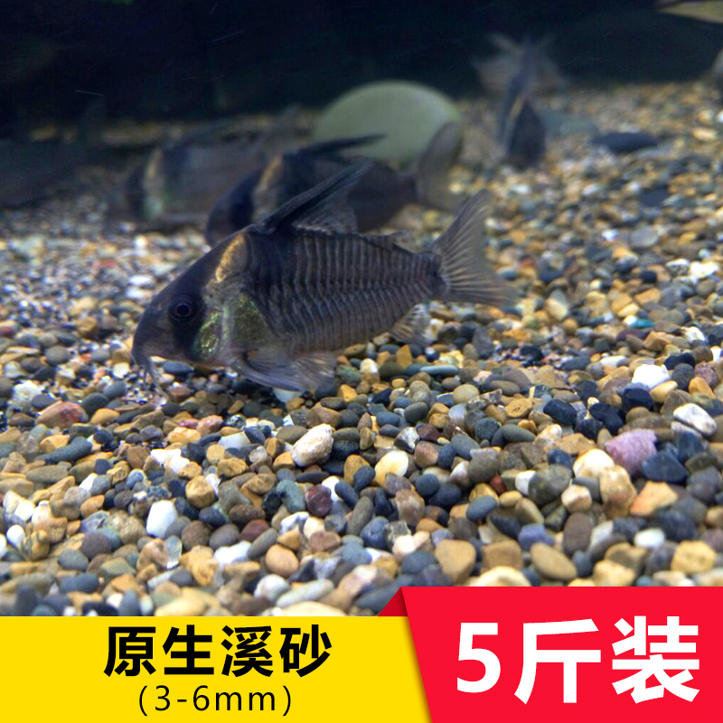 鱼缸底砂造景沙子原生溪流石头南美缸鼠沙乌龟冬眠U水晶沙装饰铺