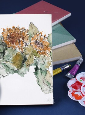 BAOHONG Artists Watercolor Paper Textured Pad for Paint, Pen