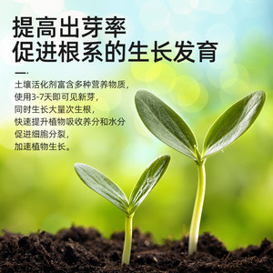 推荐土壤活化宝黑水肥料活化剂通用型植物养花专用松土精花肥黄腐