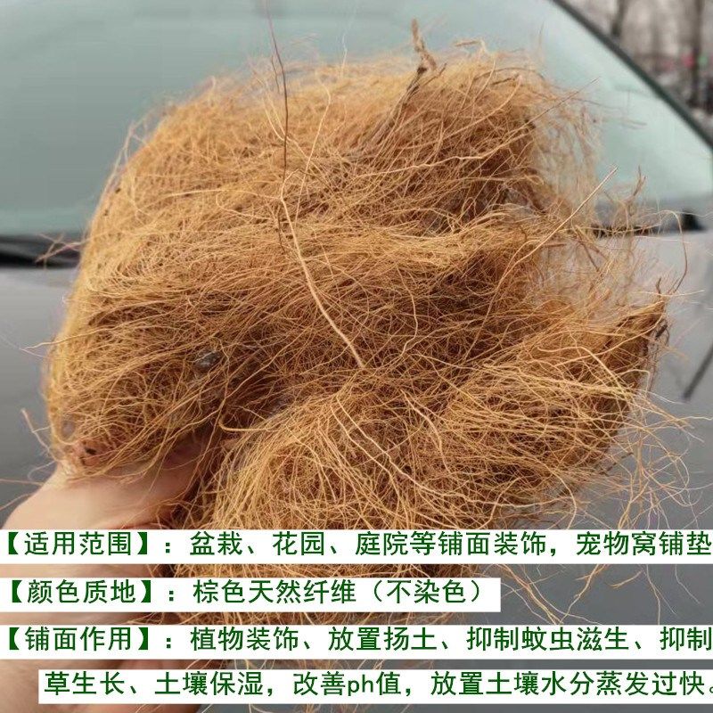 天然椰棕丝花盆覆盖物宠物垫材园艺装饰漂亮无尘兰花铺面椰丝包邮,鲜花速递/花卉仿真/绿植园艺,土壤覆盖物,淘宝优惠券,粉丝福利购,淘宝优惠卷