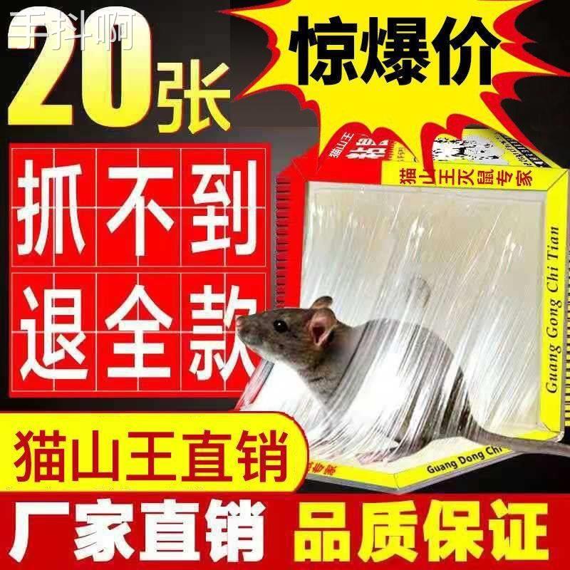 推荐老鼠粘强力占捉大老鼠贴强力粘鼠板超强粘板加诱饵胶贴纸家用