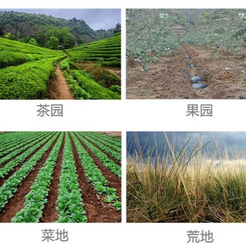 背负式锄草机汽油小型农用松土机除草机 四冲大功率微耕机