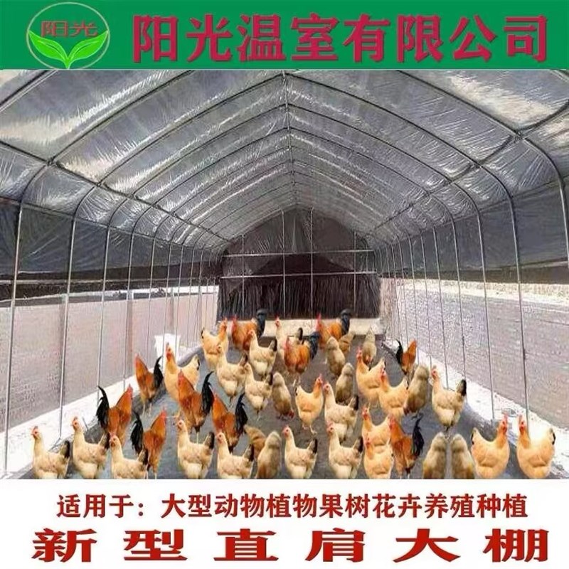 工厂销养殖大棚骨架养鸡场猪舍牛C棚羊圈保温棚温室钢管钢架养猪