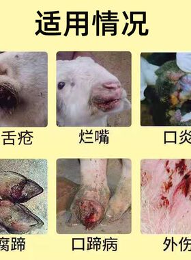 牛羊口蹄一喷灵剂羊烂嘴猪腐蹄溃烂专用口疮蹄疫消兽用促愈添加剂