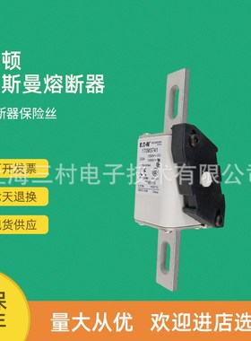 全新原装快速熔断器保险丝170M3741 170M3742 170M3743 170M3744