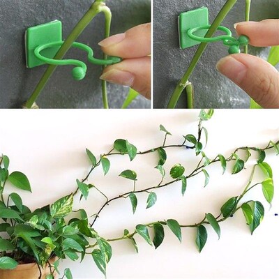 热销50Pcs Plant Vine Climbing Wall Self-Adhesive Fixed Buckl