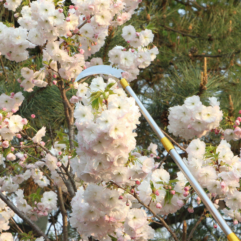 摘洋槐花钩子勾香椿神器伸缩杆10米加长铝合金摘果杆多功能抄网杆