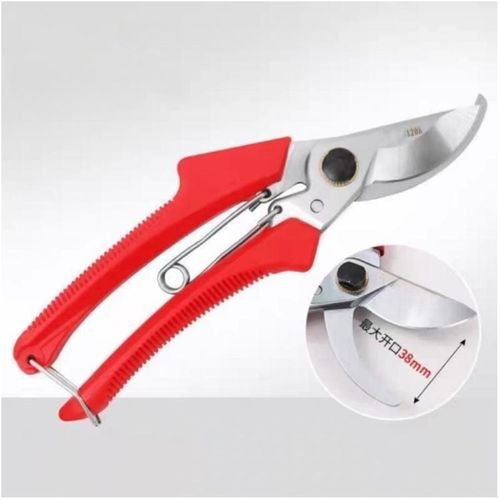 修枝剪树枝剪刀果树剪支剪 园艺工具修花手剪 园林绿化剪弹簧剪