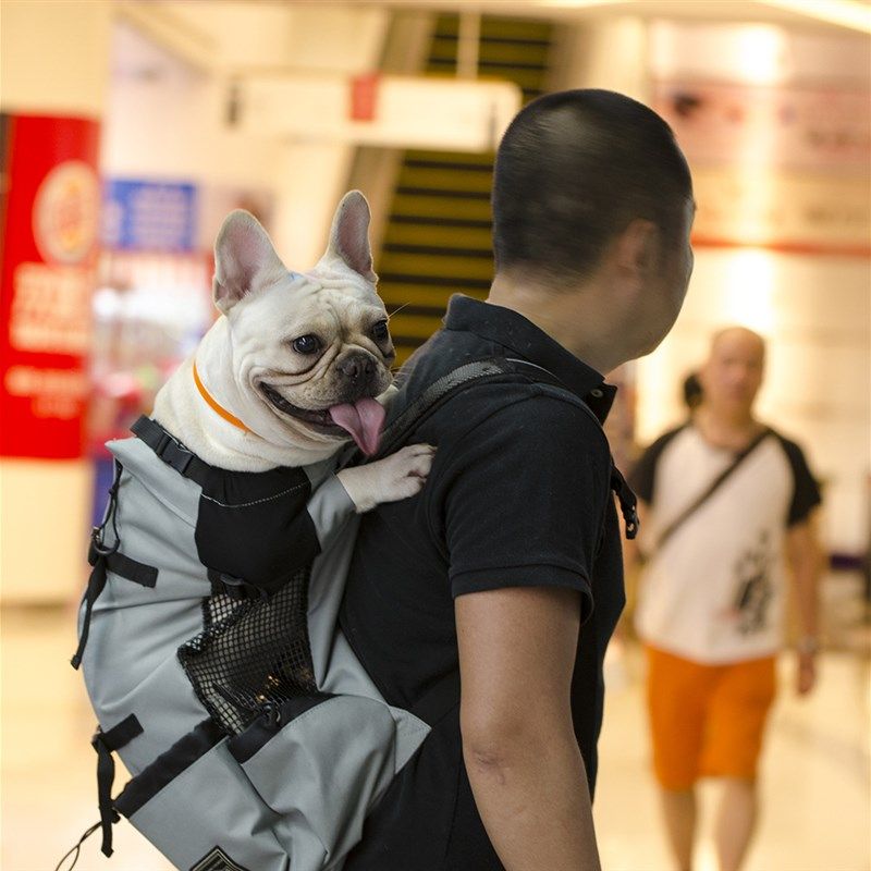 狗狗坐电动车神器骑车带狗背包中型犬外出包O宠物便携包双肩背狗
