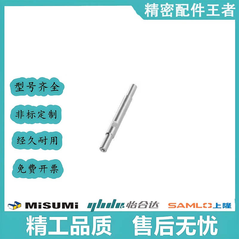 E-PSFGC/T/E-PSAFZ/S/PSSFAJ/SHA/SHP/SJA/SHG/CSFD/ESB导向轴