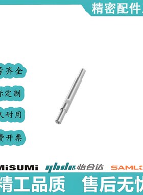 E-PSFGC/T/E-PSAFZ/S/PSSFAJ/SHA/SHP/SJA/SHG/CSFD/ESB导向轴