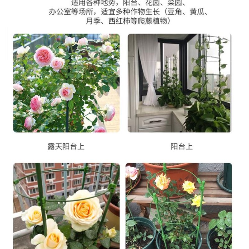现货文竹a支撑架爬藤架子月季花架室内花卉植物支伸缩杆黄金葛铁