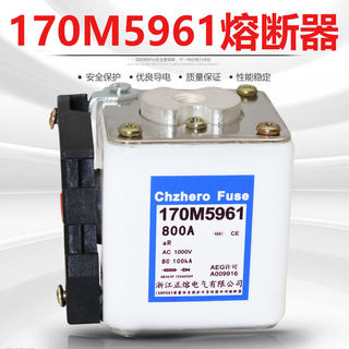 170M5960 170M5930 700A 170M5961 170M5931 800A快速熔断器1000V