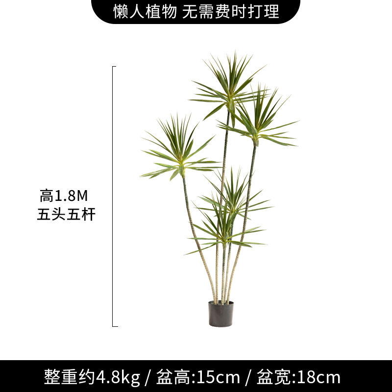 真绿植龙舌客厅仿造景室内大型装饰假树盆兰栽橱窗龙血树盆景摆件