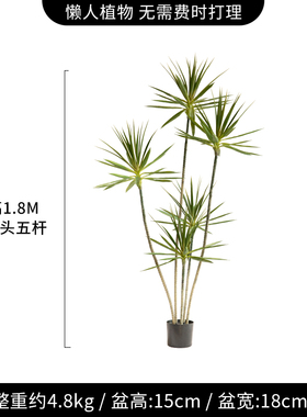 真绿植龙舌客厅仿造景室内大型装饰假树盆兰栽橱窗龙血树盆景摆件
