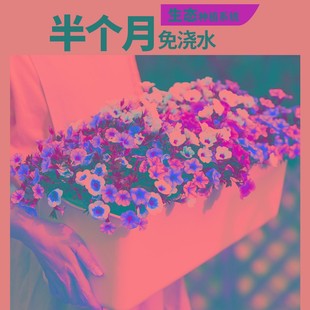 家庭阳台长方形种菜神器水培种植箱绿萝器皿长条花盆专用种植盆