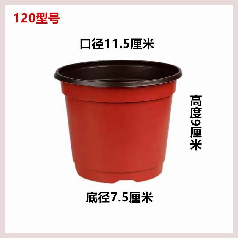 小众高货加厚双色盆育苗杯简易花盆育苗杯多肉叶插盆大棚营养