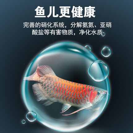 硝化细菌鱼缸用锦鲤鱼池专用养鱼分解鱼粪鱼用消化细菌过滤净水剂
