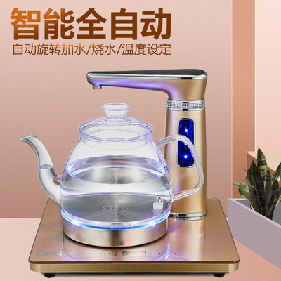 桶装纯净矿泉水电动抽水吸水器饮水机自动压水泵抽水机家用可加热