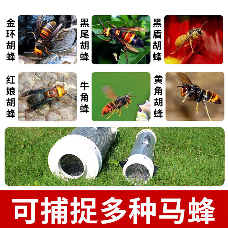 新品马蜂收蜂笼捉活蜂地蜂笼胡蜂捕蜂器野外捉虎头蜂收蜂袋笼子小