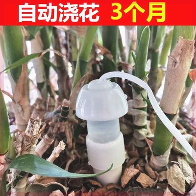 速发简易自动浇水器滴水器渗水器家用自动浇花器可调节流速滴灌懒