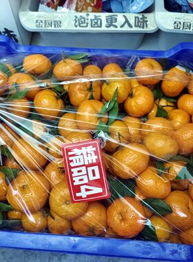 沙糖桔内衬膜水果框加厚亮膜高透明0PP材质沙糖桔亮膜打孔透气