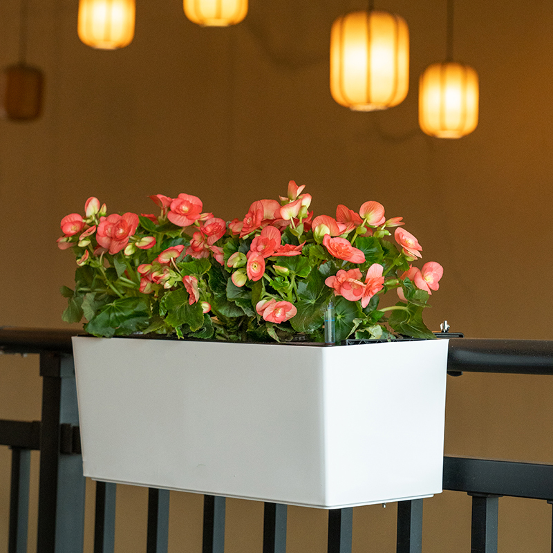 阳台花槽免浇水栏杆悬挂式长方形挂架窗台室外花盆盆景盆花箱简约