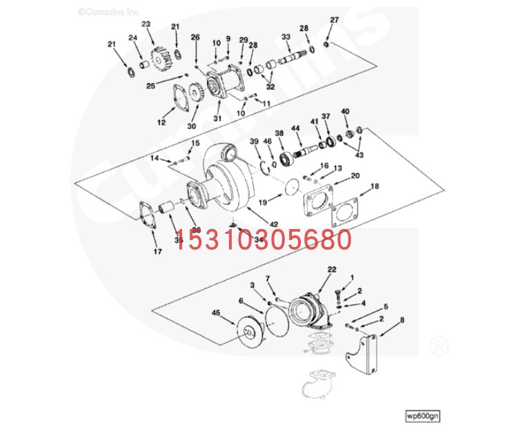 网红康明斯柴油发动机KV12水泵(KTA38)水泵水泵3634029 3643967零