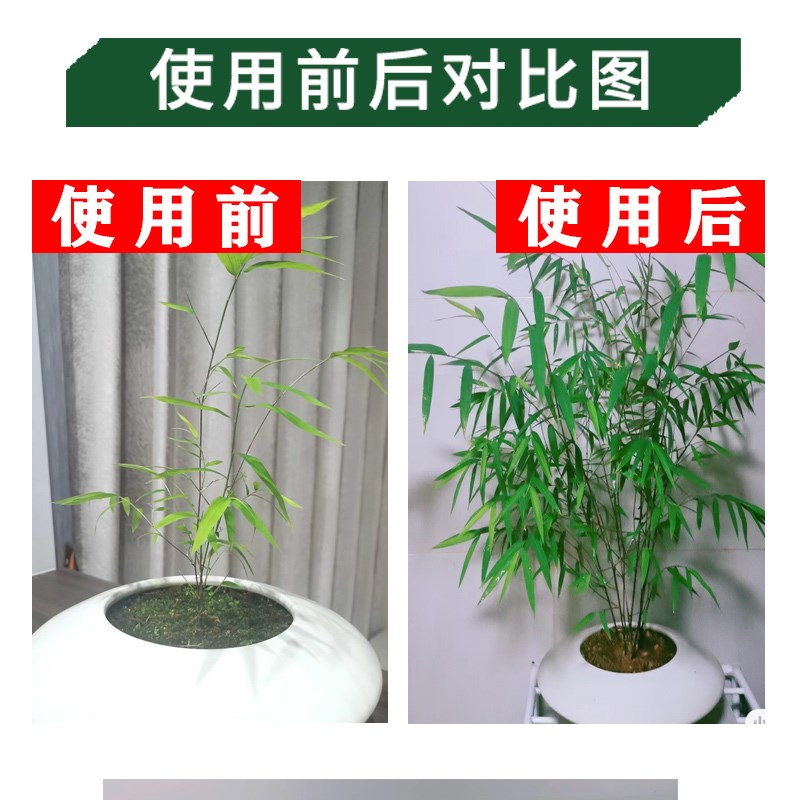内门竹专用肥内门竹营养液肥料盆栽室内盆景有机肥缓释颗粒水溶肥