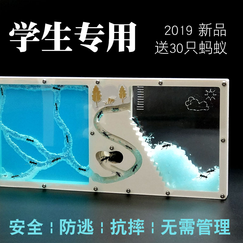 现货速发简单蚂蚁工坊学生科学探索 创意蚁巢城堡庄园蚁后 送宠物