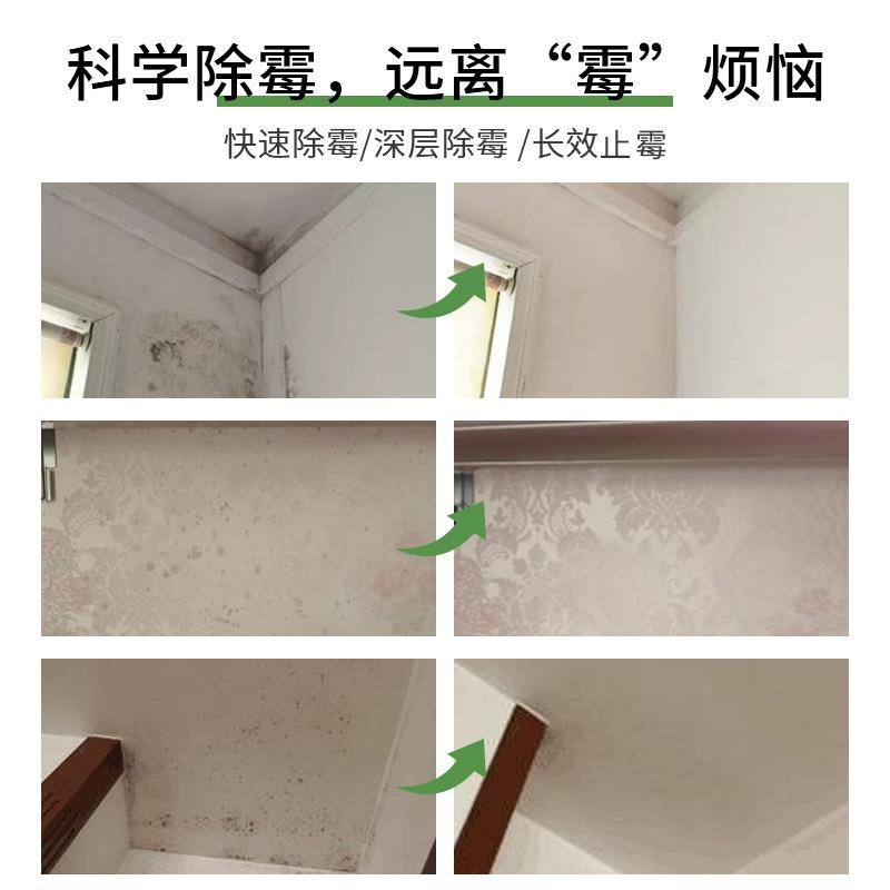小众高货墙体长毛墙壁去霉壁布天花板除霉喷剂抽屉生物酶白卫生间