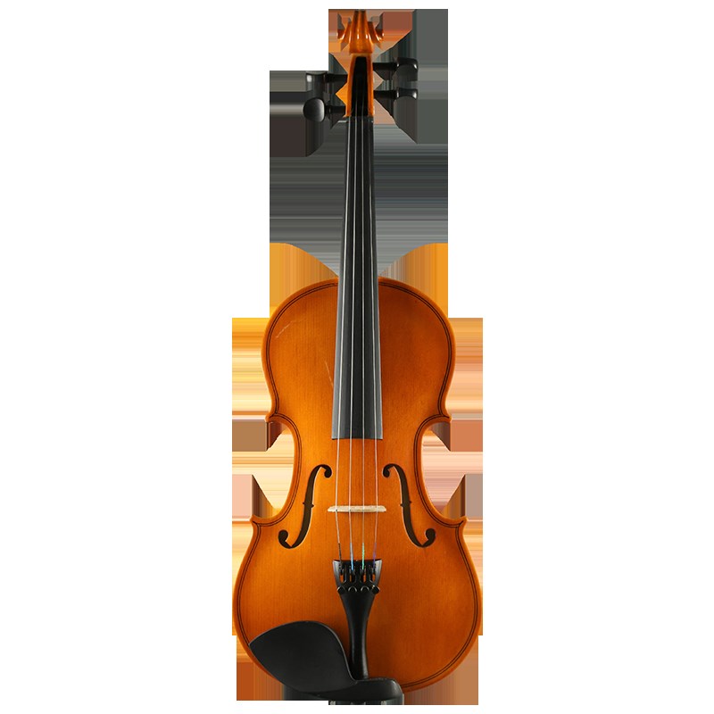 者木小提琴初学实成q人儿童入门演习乐器练奏检定考试自学普