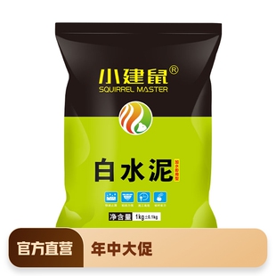 建鼠堵漏王快干白水泥防水补漏王卫生间屋顶裂缝涂料漏水砂小浆胶