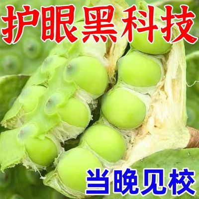 推荐【20倍渗透护视力】眼膜去疲劳缓解干涩疲劳青少年叶黄素护眼