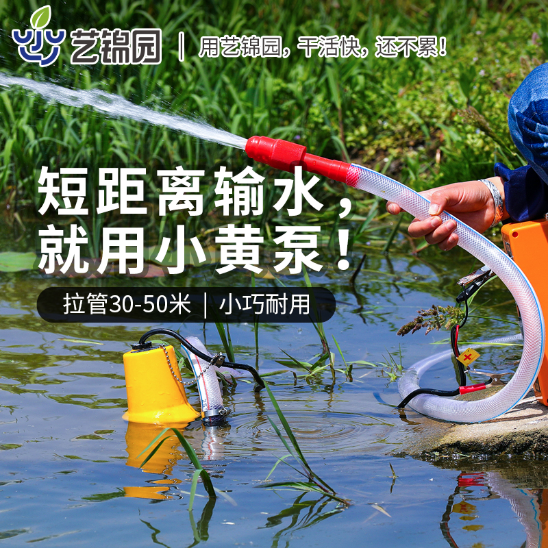 水泵家用抽水电动自吸式抽井水12v浇菜小型浇水机直流电抽水机