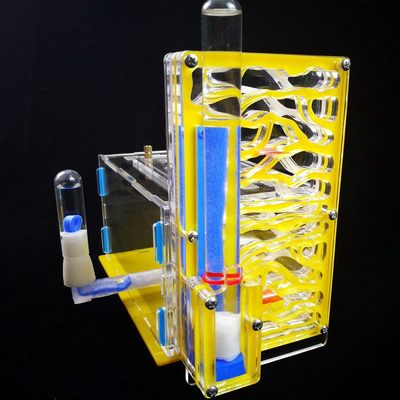 蚂蚁工坊新后巢亚克力房屋窝玩具宠物庄园学生科普亚克Y力3D巢城