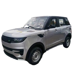 新能源电动四轮车老年成人家庭出行小轿车供应多种款式汽车