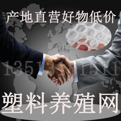 塑料养殖网养鸡育雏脚垫漏粪平网片小孔整卷养蜂网阳台围栏防护网