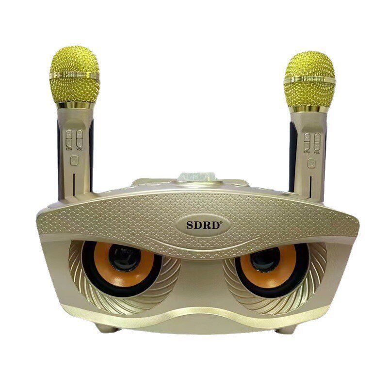 新家庭蓝牙音响SD306S卡拉ok手机支架混响音Q效无线K歌机双麦克风