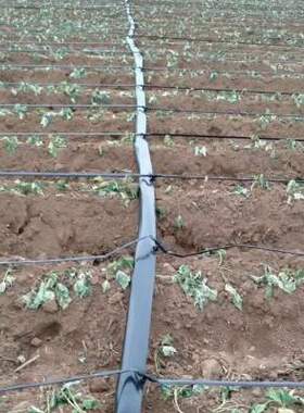 厂销N16迷宫带农用滴灌带大棚蔬菜膜下滴管果园绿化滴Z水管节水品