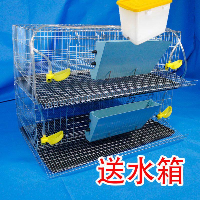 鹌鹑滚蛋笼子鹧鸪配对笼蛋运输笼 单层 产 笼 梯阶非式鸟笼